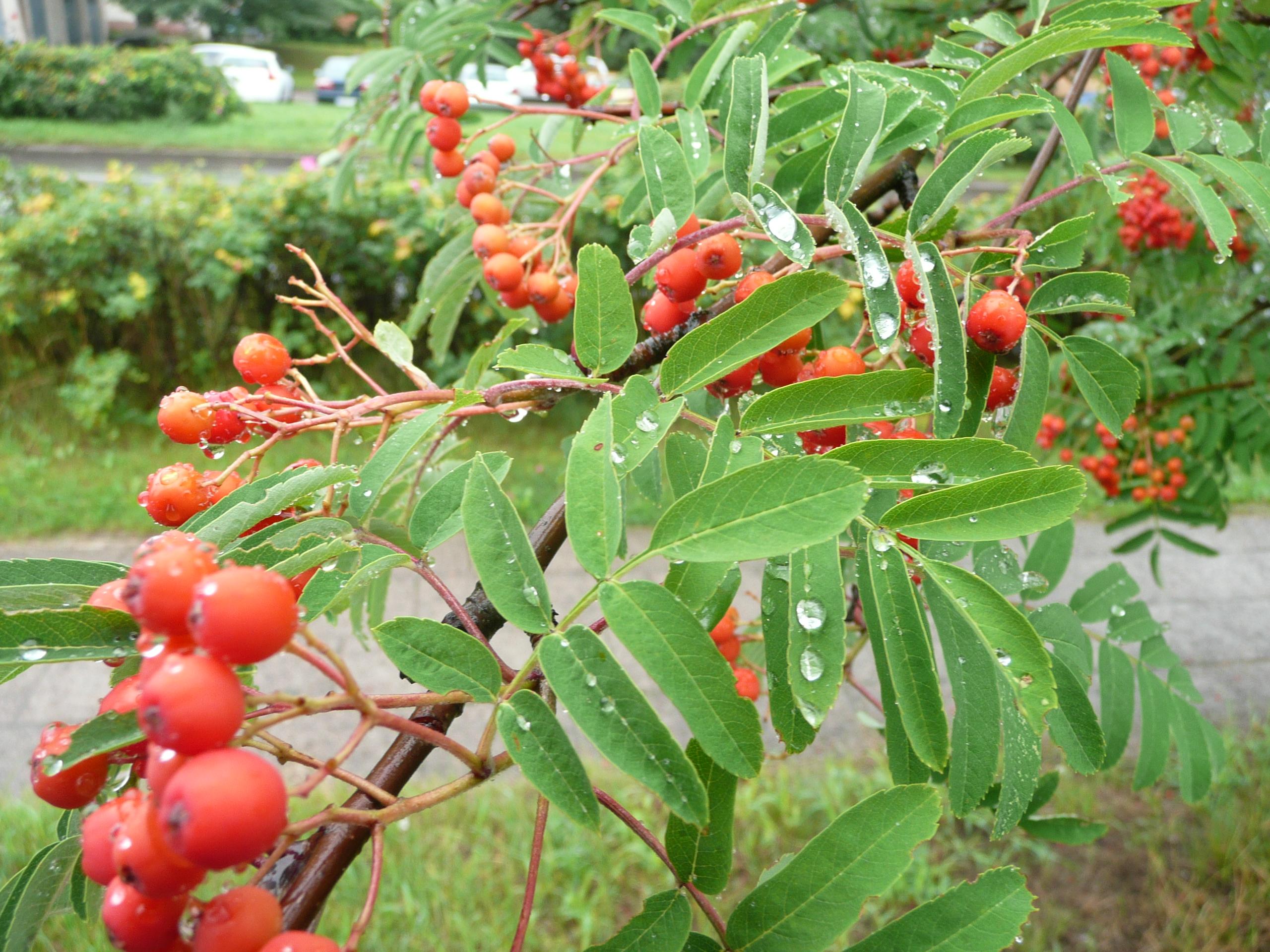 ����: obzor.lt