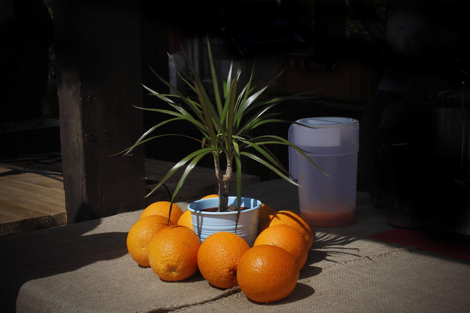 ����: obzor.lt