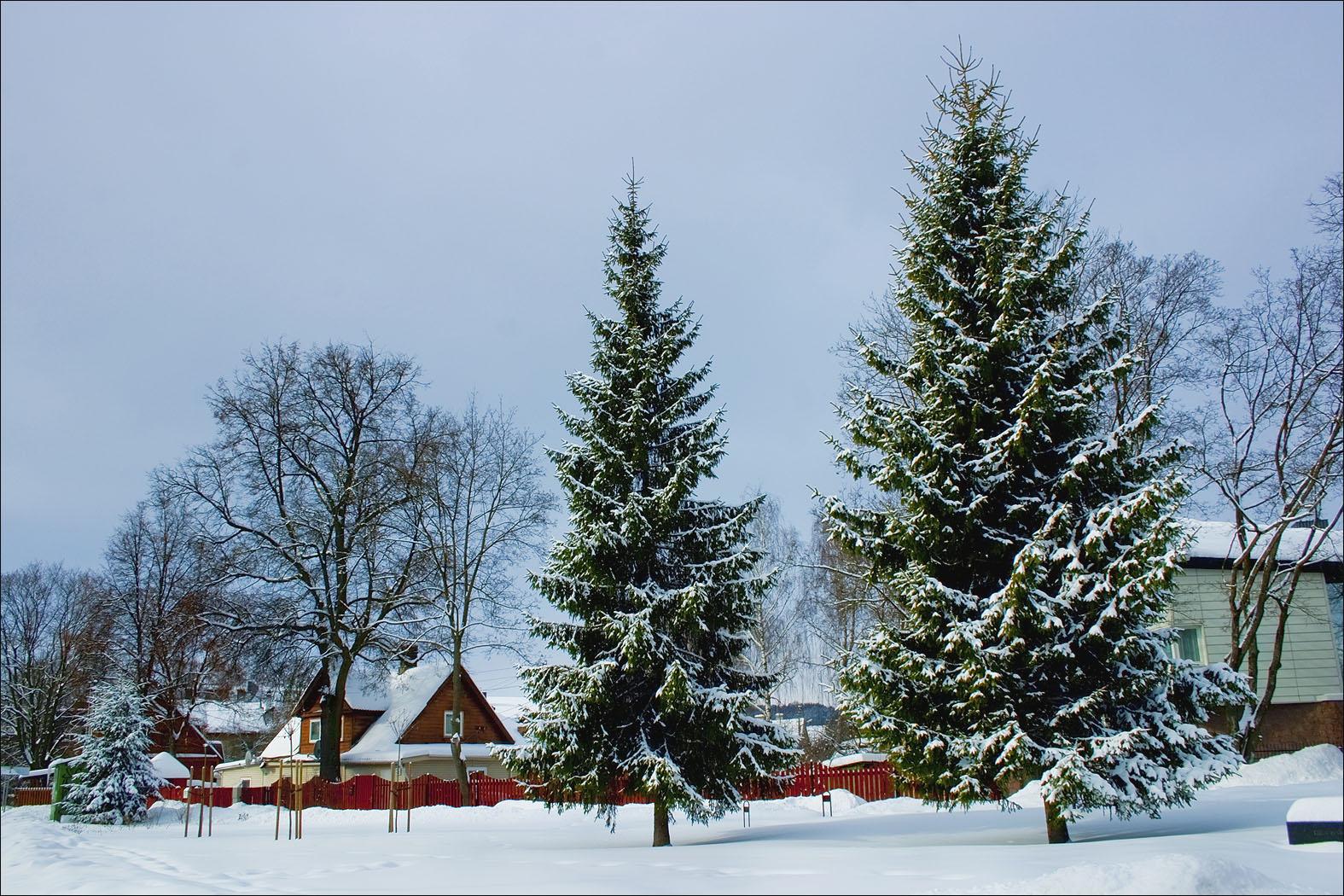 ����: obzor.lt