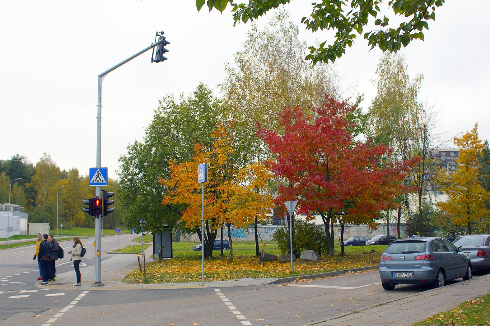 ����: obzor.lt