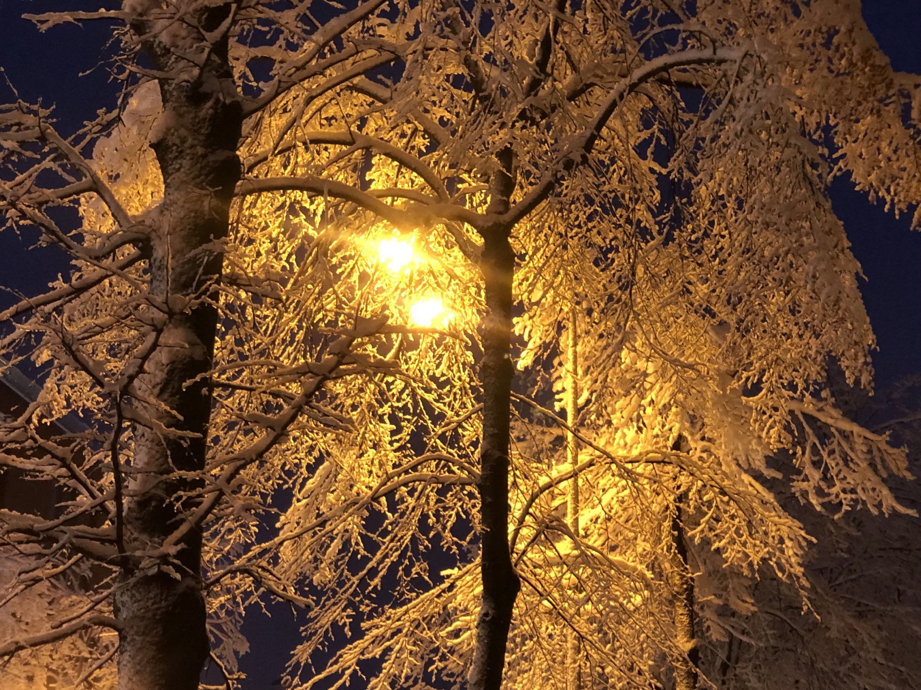 ����: obzor.lt