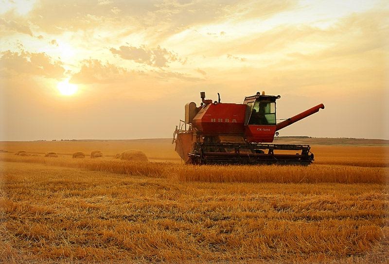 ����: obzor.lt