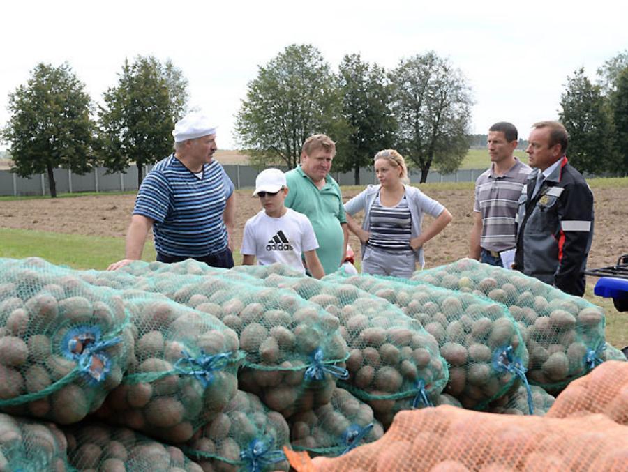 ����: obzor.lt
