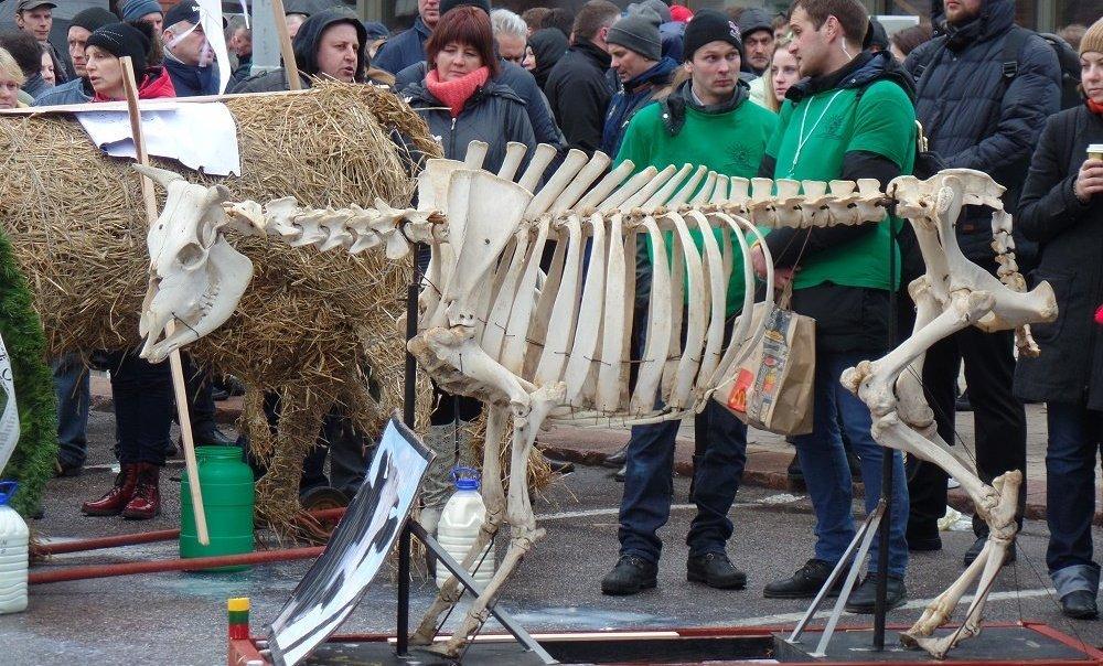 ����: obzor.lt