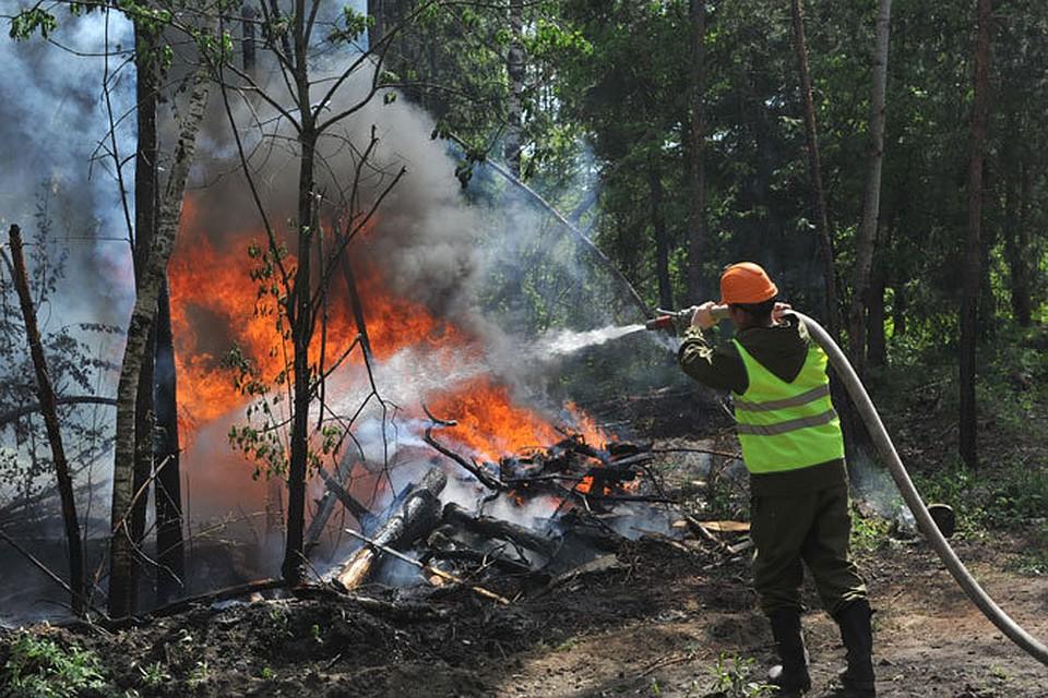 ����: obzor.lt