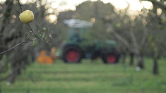 ����: obzor.lt