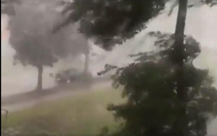 ����: obzor.lt