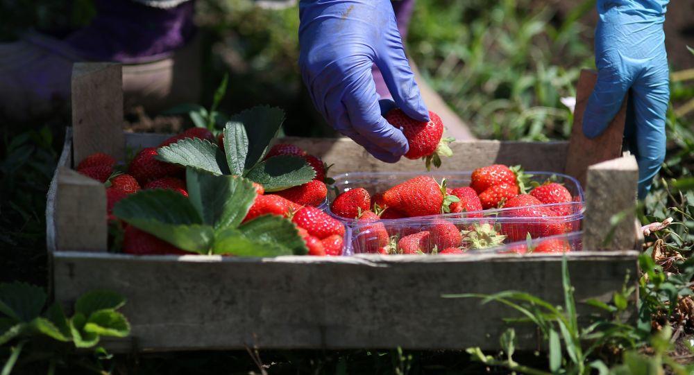 ����: obzor.lt