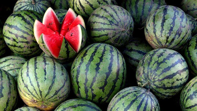  ����� ������ ����� �������� �������������������� ���������� ��� ������� 