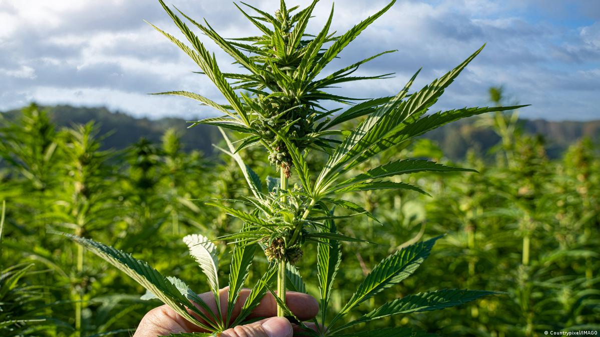  ������ ������� ������� ������ ���������� �������� ����� 