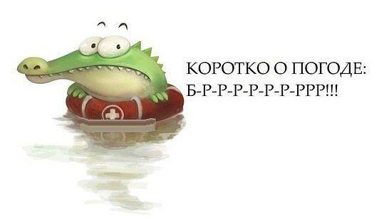 Тебя люблю, прикольные картинки о погоде летом