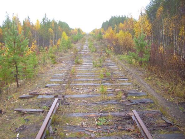 Украинский министр анонсировал исторический поезд "пяти столиц"
