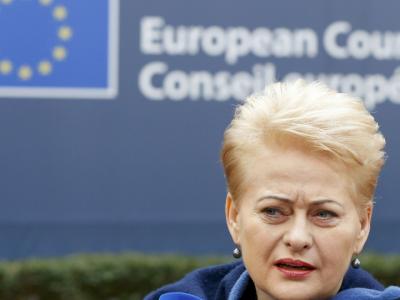 Президент Литвы: события в Северной Корее, Сирии представляют угрозу миру во всем мире