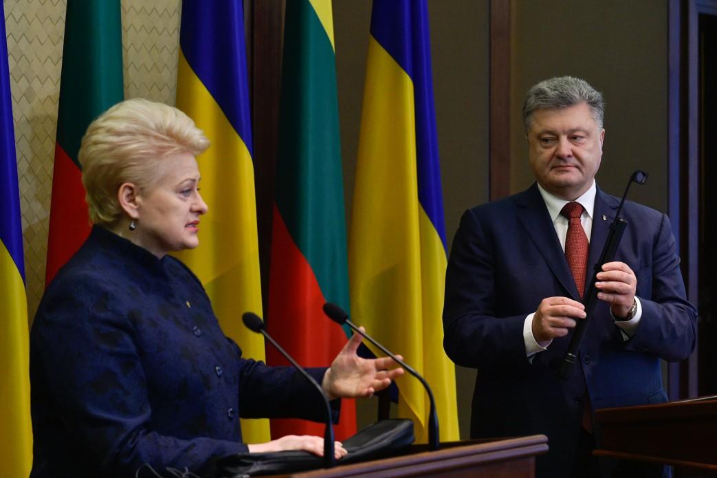 Президент Литвы посоветовала Украине не спешить подавать заявку на вступление в НАТО