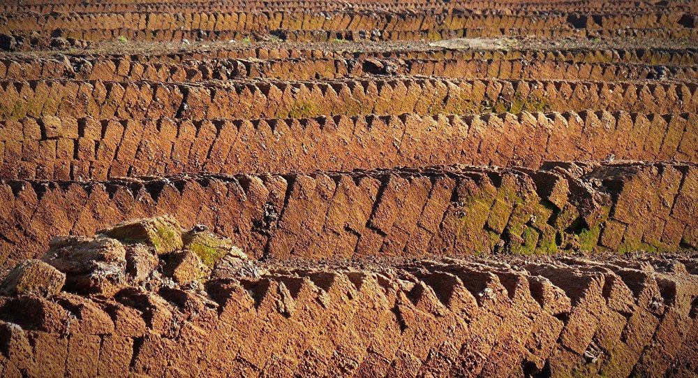 Белорусская компания потеряла в Литве 900 тыс евро