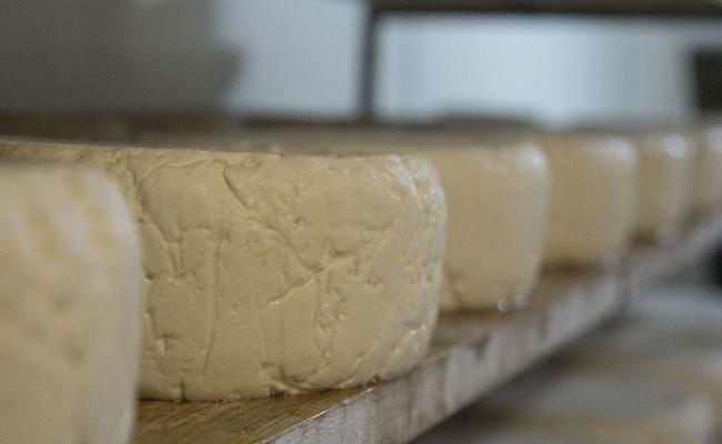 Из-за менингита из испанских магазинов отзывают три вида сыра