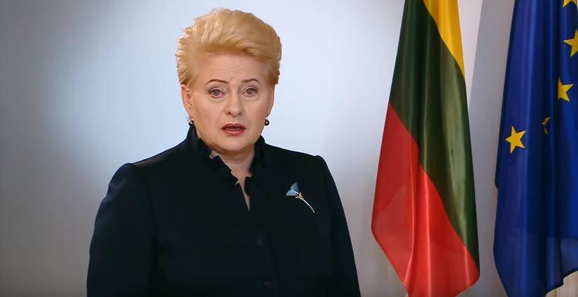 Президент Литвы предлагает отказаться от выдвижения партиями членов ГИК